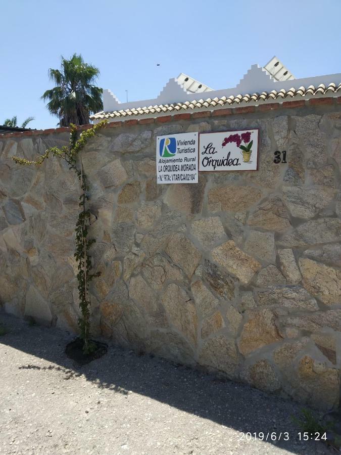 La Orquidea Morada Villa Conil De La Frontera Bagian luar foto
