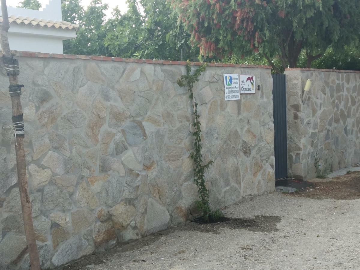 La Orquidea Morada Villa Conil De La Frontera Bagian luar foto