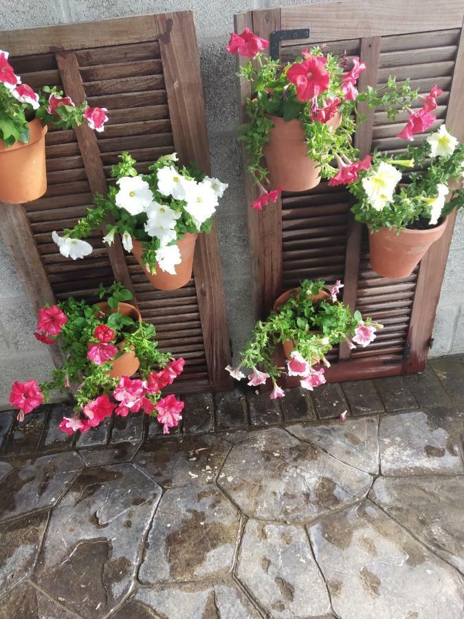 La Orquidea Morada Villa Conil De La Frontera Bagian luar foto